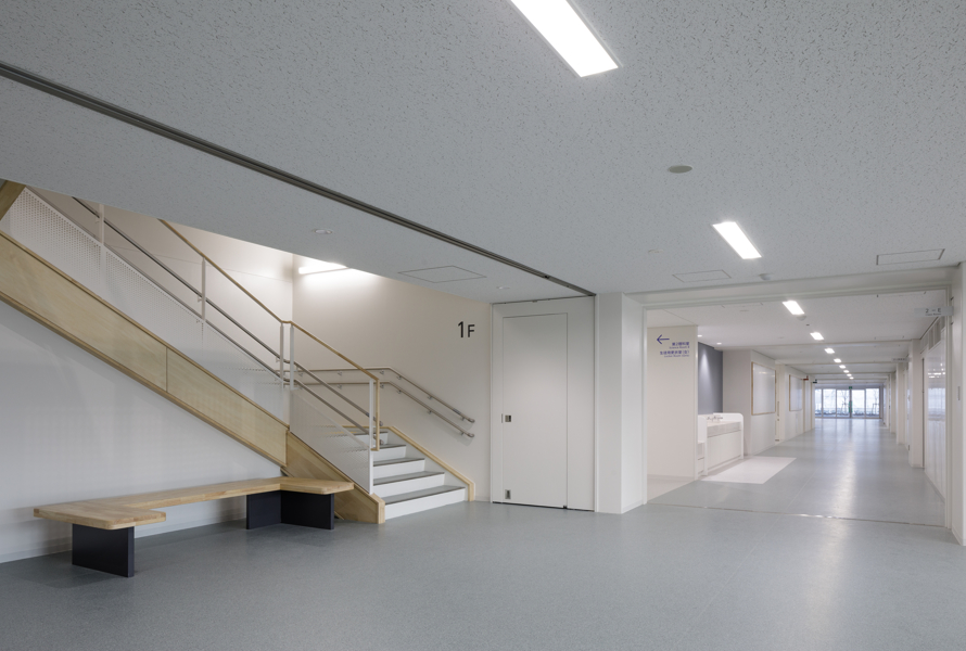 �ʐ^�B�K�i�Ɨx���B���Ɩ؎�����ɍ����A�N�Z���g�Ƃ��������������F���̓����B