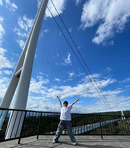 アルティメット