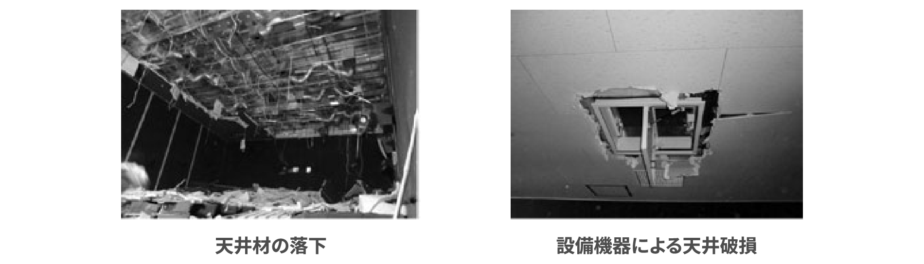 �V��ނ̗����@�ݔ��@��ɂ��V��j��