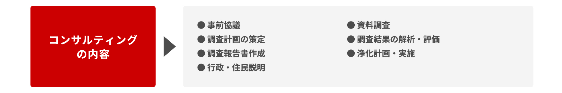 �R���T���e�B���O�̓��e